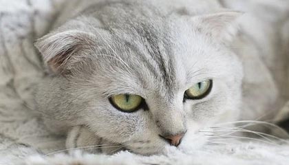 探索未来科技新体验——kaiyun官网全方位解读